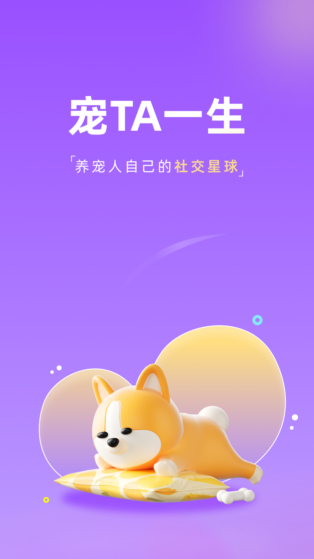 宠TA一生 APP